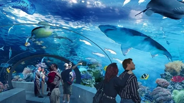 🐠 Antalya Aquarium Tour