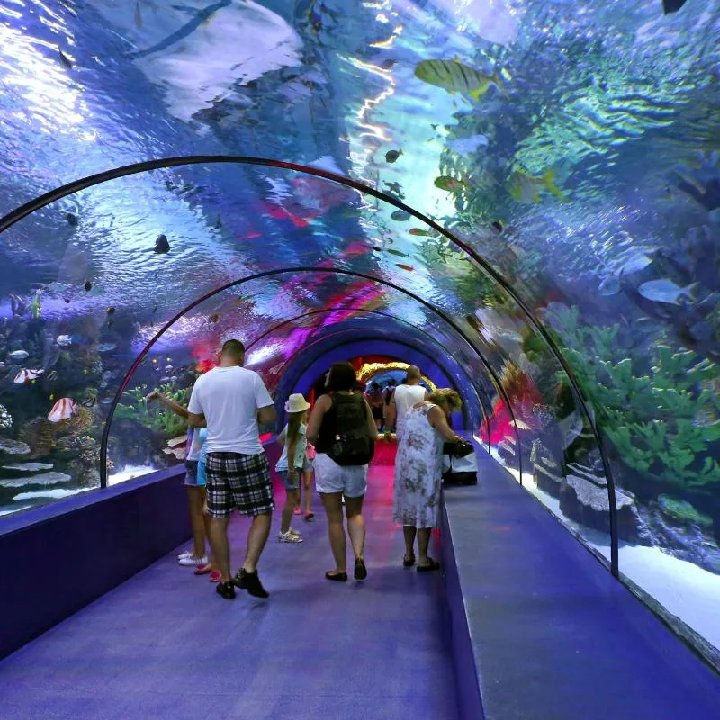 🐠 Antalya Aquarium Tour