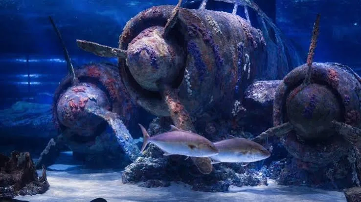 🐠 Antalya Aquarium Tour
